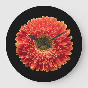 Flowers   Orange Gerbera Daisy Large Clock