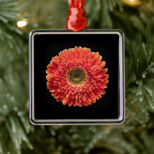 Flowers   Orange Gerbera Daisy Metal Ornament