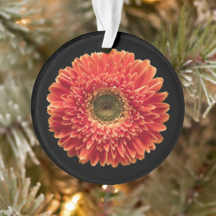 Flowers Orange Gerbera Daisy Ornament