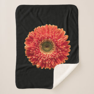 Flowers   Orange Gerbera Daisy Sherpa Blanket