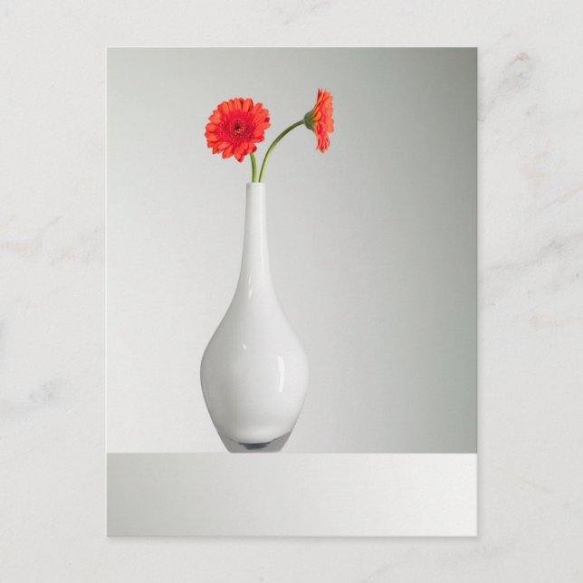 Flowers | Orange Gerbera in Vase Postcard (Front)