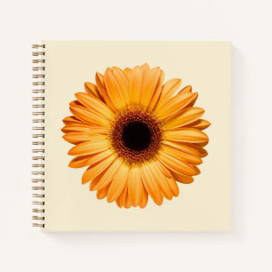 Flowers Orange Gerbera Notebook