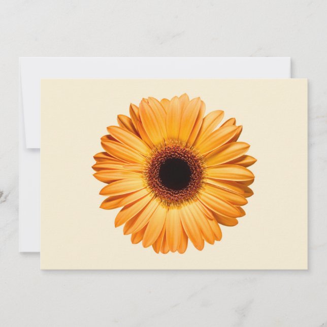 Flowers | Orange Gerbera Thank You Card (Front)