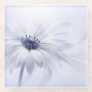 Flowers Pale Purple Flower Glass Coaster