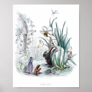 Flowers Personified -Daffodil Poster