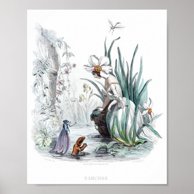 Flowers Personified -Daffodil Poster (Front)