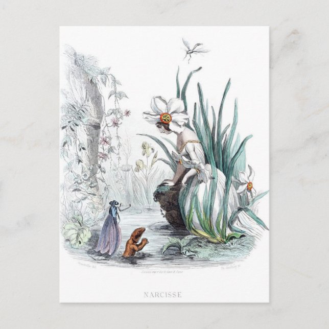 Flowers Personified Postcard (Front)