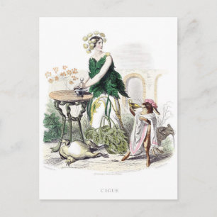 Flowers Personified Postcard