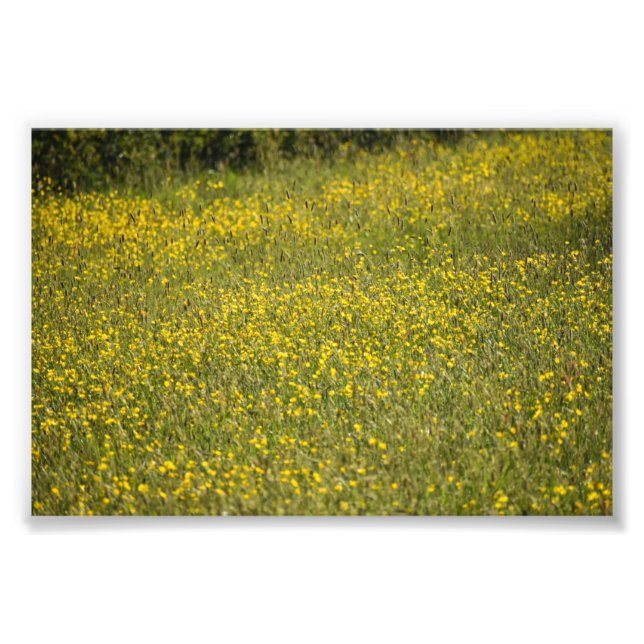 Flowers Photo Print (Front)