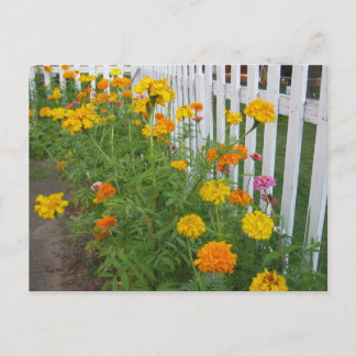 Flowers & Picket Fence Postcard