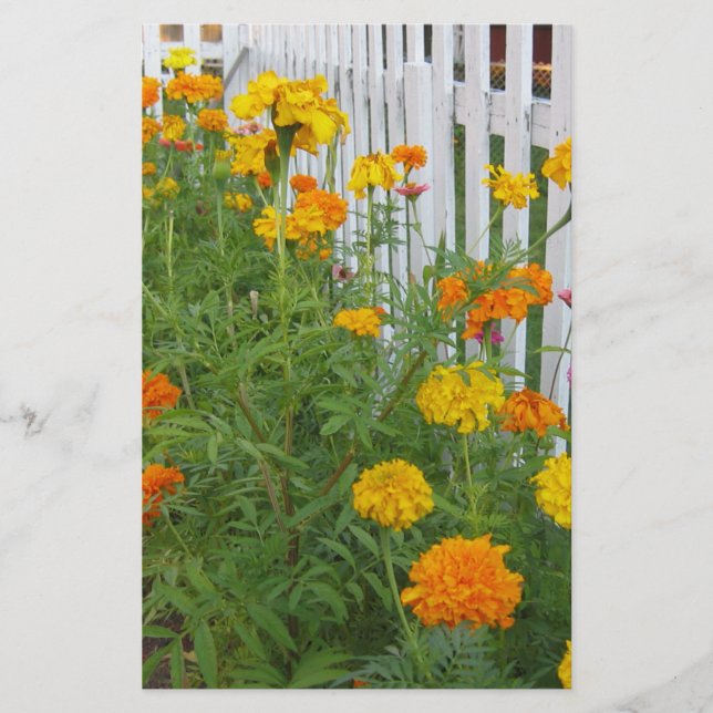 Flowers & Picket Fence Stationery (Front)