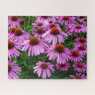 Flowers Pink Coneflower Garden Jigsaw Puzzle