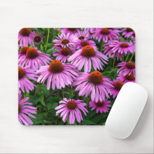 Flowers Pink Coneflower Garden Mouse Pad