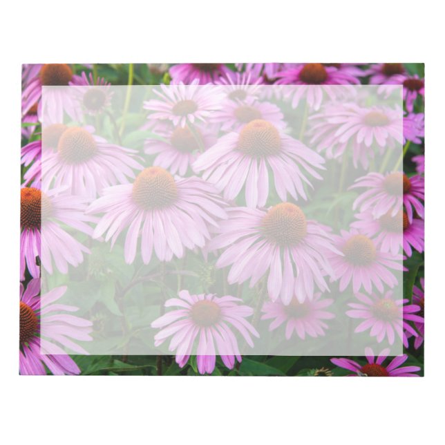 Flowers | Pink Coneflower Garden Notepad (Front)