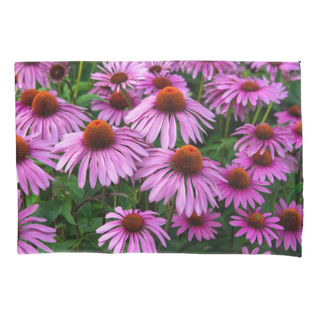 Flowers | Pink Coneflower Garden Pillowcase (Front)