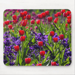 Flowers poppies mouse pad