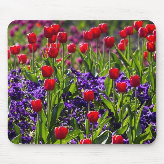 Flowers poppies mouse pad (Front)