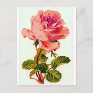 Flowers Postcard