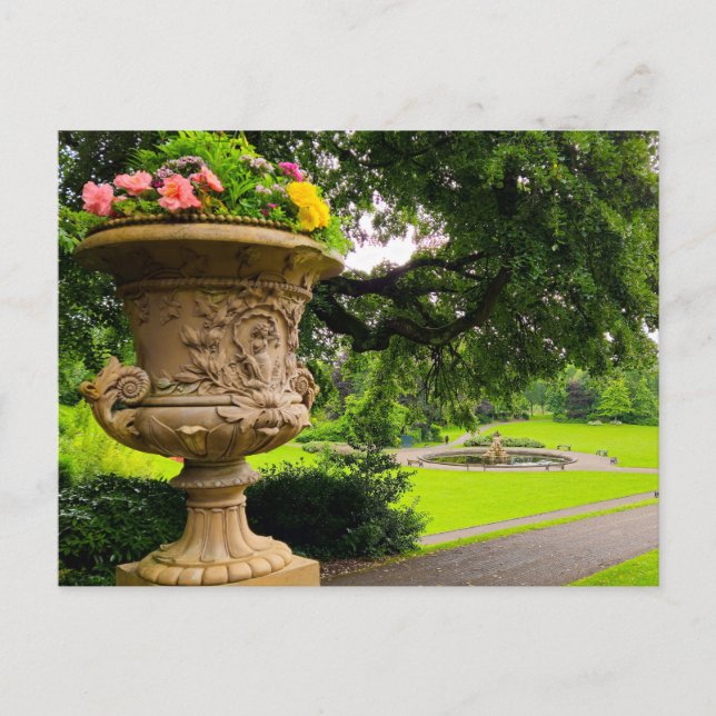 Flowers Postcard (Front)