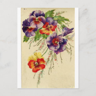 Flowers Postcard