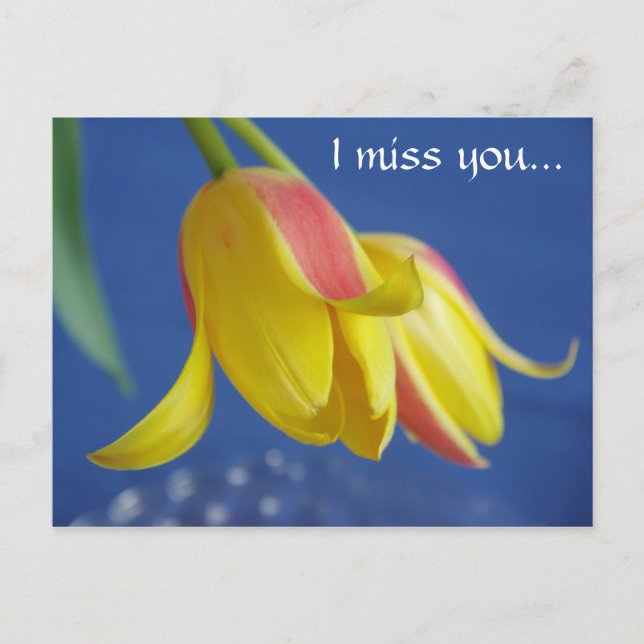 Flowers - postcard (Front)