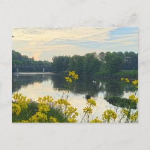 Flowers Postcard