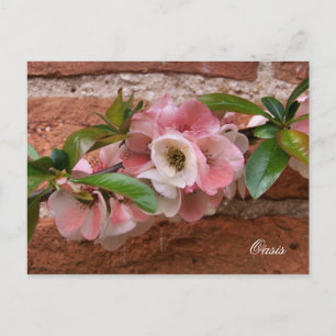 FLOWERS POSTCARD