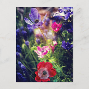 Flowers Postcard