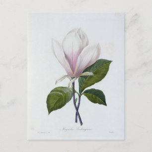 Flowers Postcard 12
