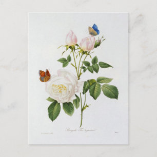 Flowers Postcard 18