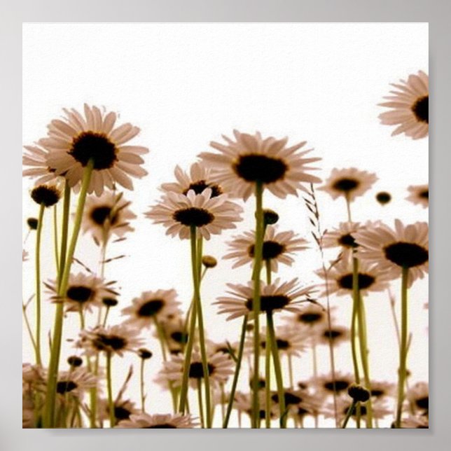 Flowers Poster (Front)