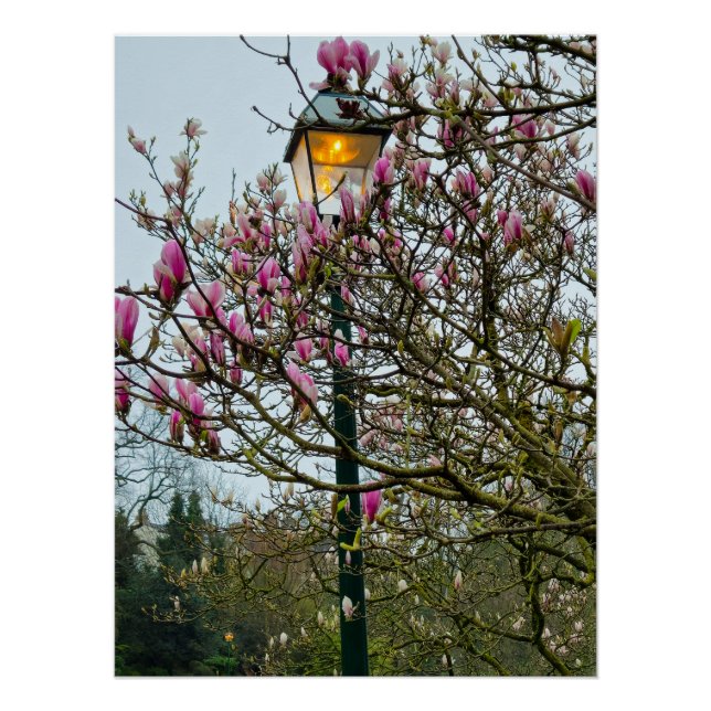 Flowers Poster (Front)