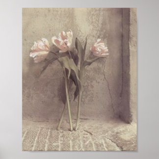 flowers poster