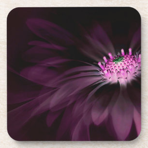 Flowers Purple Daisy Coaster