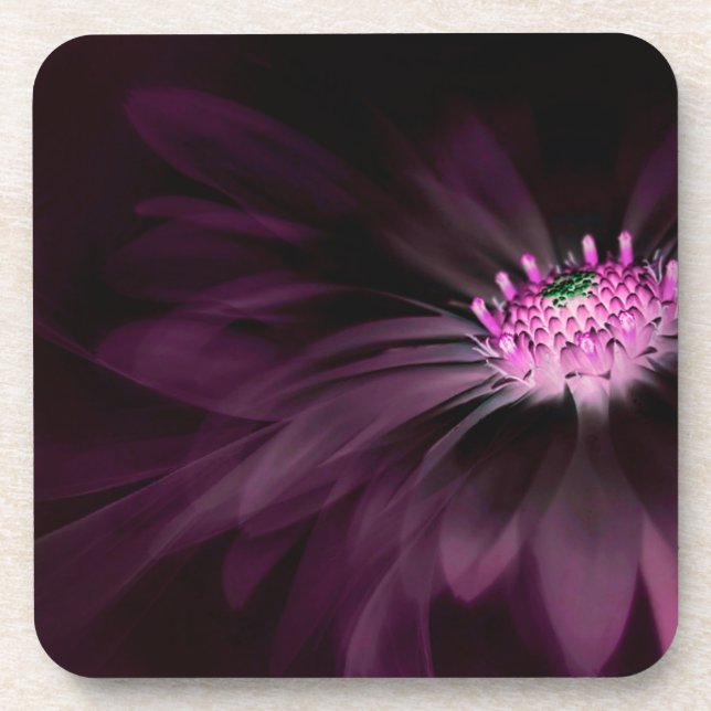 Flowers | Purple Daisy Coaster (Front)