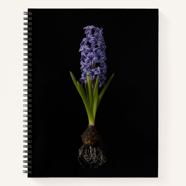 Flowers | Purple Hyacinth Bulb Notebook (Front)