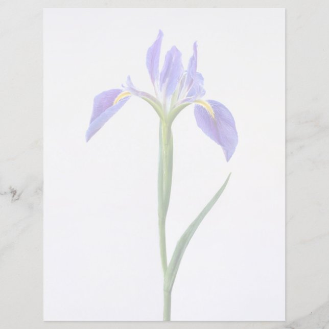 Flowers | Purple Iris Flower (Front)