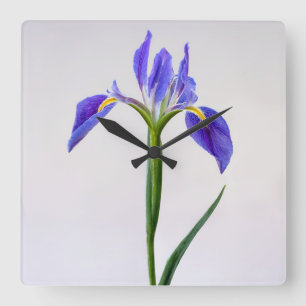 Flowers   Purple Iris Flower Square Wall Clock