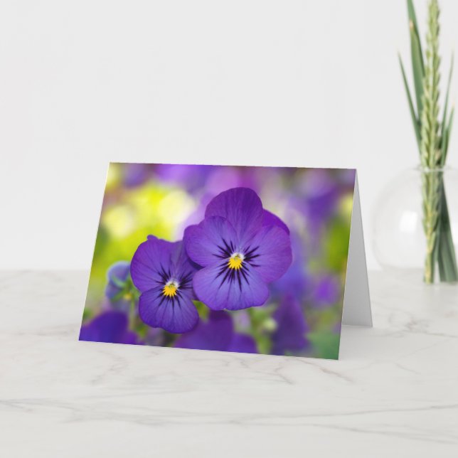 Flowers | Purple Pansies Card (Front)