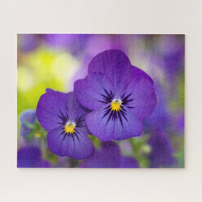 Flowers | Purple Pansies Jigsaw Puzzle (Horizontal)