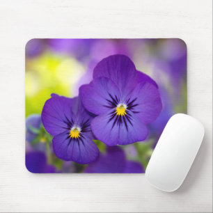 Flowers Purple Pansies Mouse Pad