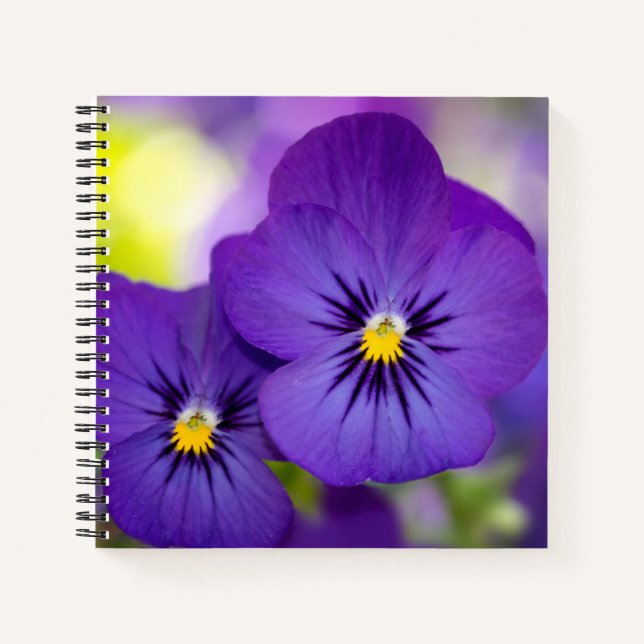 Flowers | Purple Pansies Notebook (Front)