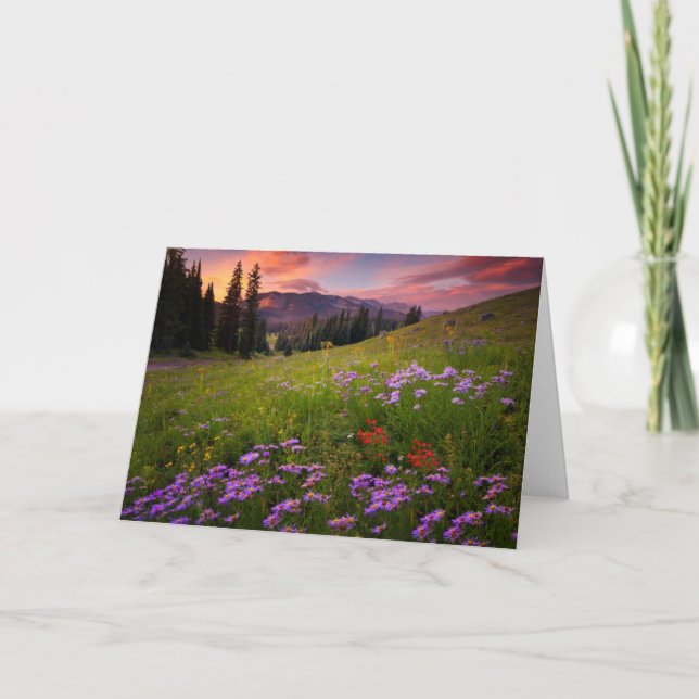 Flowers | Purple Wildflowers Colorado Card (Front)