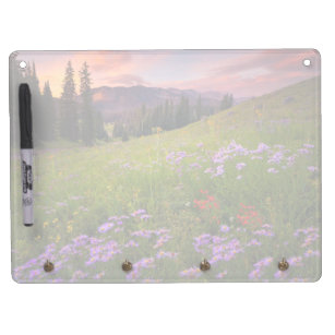 Flowers   Purple Wildflowers Colorado Dry Erase Board With Key Ring Holder