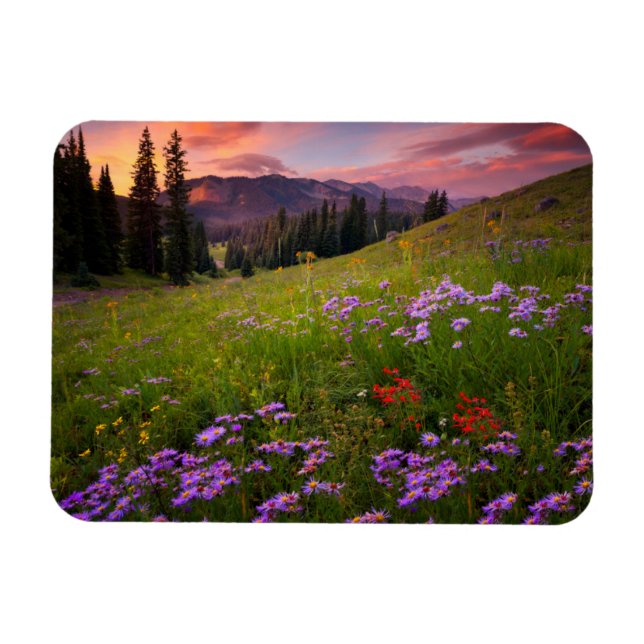 Flowers | Purple Wildflowers Colorado Magnet (Horizontal)
