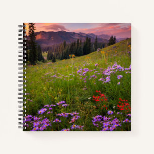 Flowers Purple Wildflowers Colorado Notebook