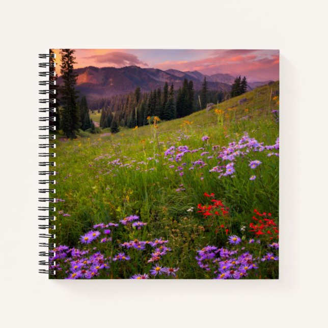 Flowers | Purple Wildflowers Colorado Notebook (Front)