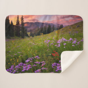 Flowers   Purple Wildflowers Colorado Sherpa Blanket