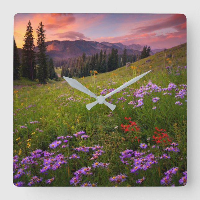 Flowers | Purple Wildflowers Colorado Square Wall Clock (Front)