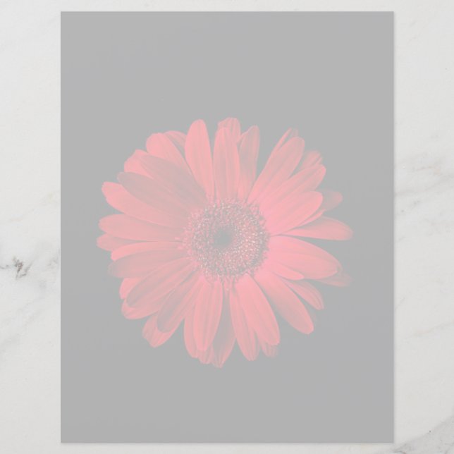 Flowers | Red Gerbera Daisy (Front)